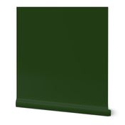 Dark Forest Green Solid Christmas Color