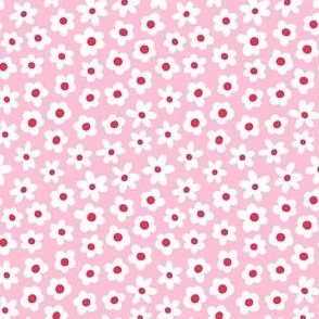 flower blossoms on pastel pink - valentines day collection