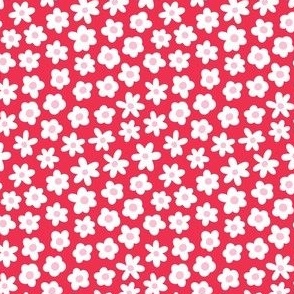 flower blossoms on red - valentines day collection