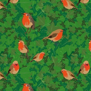 Robins in the Ivy