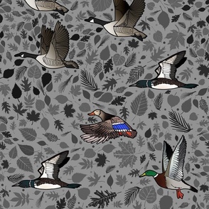 Water Birds of the Northwoods (large scale)  