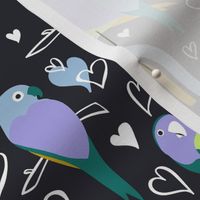 Love Birds Black Petal Signature Pastel Comforts Regular Scale