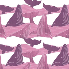 whalesinwaves large scale pink