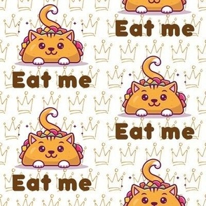 Princess Taco cat / cats eat me