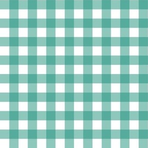 Teal and White Gingham Check