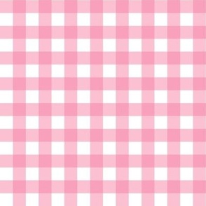Soft Pink and White Gingham Check