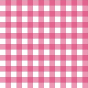 Pink and White Gingham Check