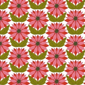 Peppy Poinsettias // Medium // Avocado Green  // White