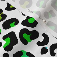 Bright Neon Rainbow Colored Leopard Spots on White