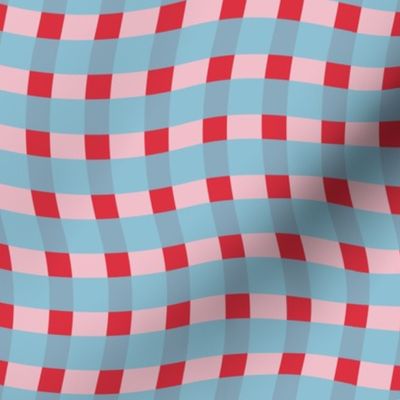 Vibrant Gingham 