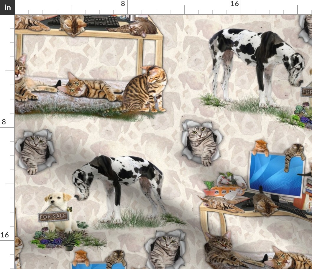 Luxury cat & lounge wallpaper