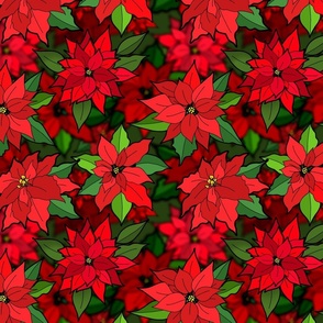 Peppy Poinsettias 