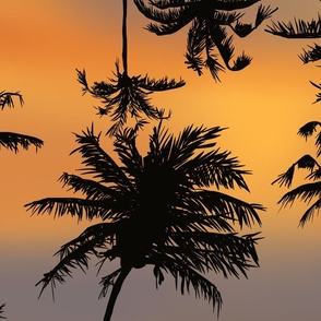 Large Sunset Imperfect Coconut Trees
