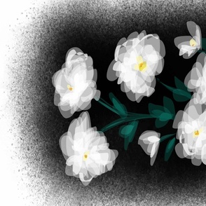 White Peonies Floral Illustration 