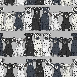 Gray and White Spotted Dogs Line-Up Design