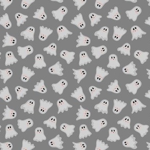 F22 162+12'1'2 S - spooky ghosts - grey