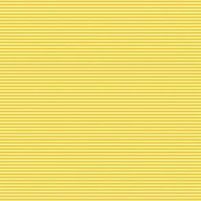 MOD TULIP STRIPES - YELLOW