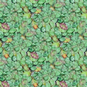 Pond Leaves II Medium