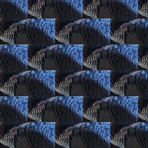 TLV WILD TURKEY FEATHERS ABSTRACT 335-HALF BRICK