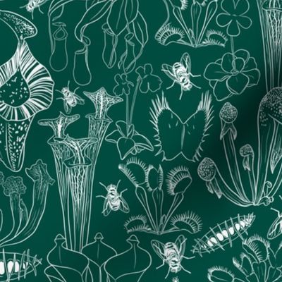 Carnivorous Plants sketches - Dark Green