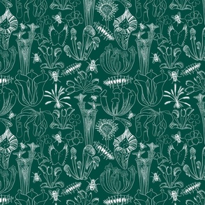 Carnivorous Plants sketches - Dark Green