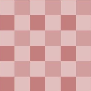 medium // pink tone gingham