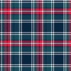 medium // holiday tartan plaid - D