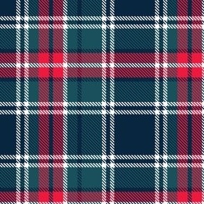 holiday tartan - D