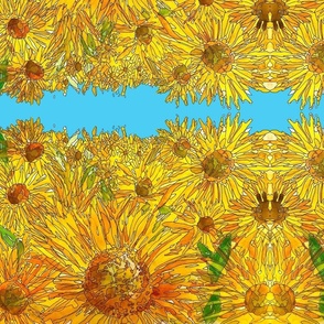 sunflowers no sky