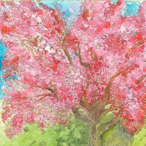 Cherry Blossum Tree
