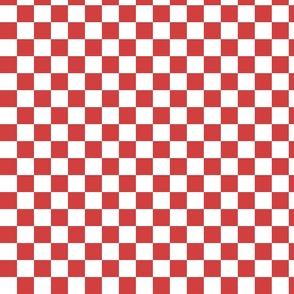 Peppermint Checkered Print - Small