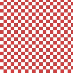 Peppermint Checkered Print - Micro