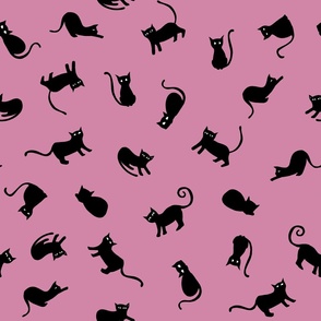 Cats in pink