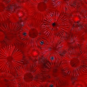 Abstract flowers on red background