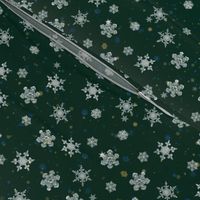 Christmas silver Snowflake on green background
