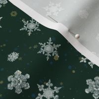 Christmas silver Snowflake on green background