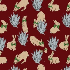 Bunnies and Agaves