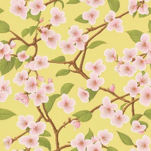 Cherry Blossom on Yellow background