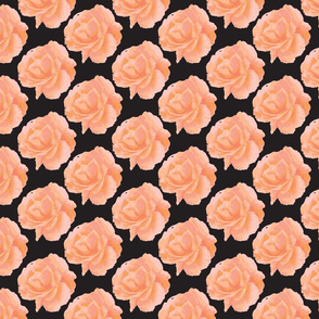 roses_for_real peach