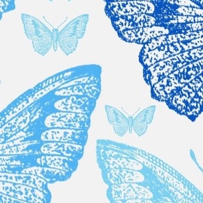 My blue butterfly