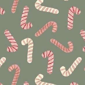 visions of candy canes on spruce