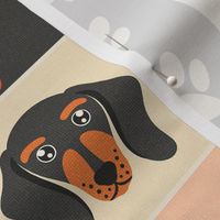 Orange Dogs and Pet Accessories / Medium Scale