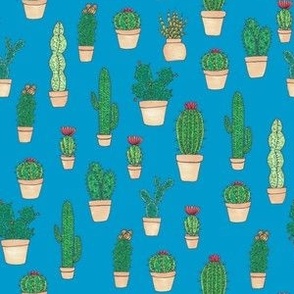 cacti illustration on blue