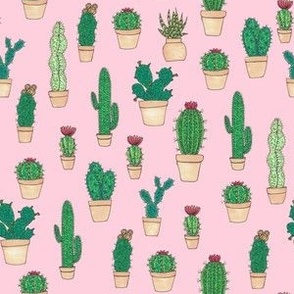 cacti illustration on soft pink