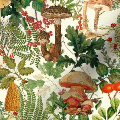 Mushroom Dance - Nostalgic Forest Psychadelic Mushroom Kitchen Wallpaper, Vintage Edible Mushrooms Forest Fabric,  Antique Greenery, Fall Home Decor,  Woodland Harvest,sunny beige