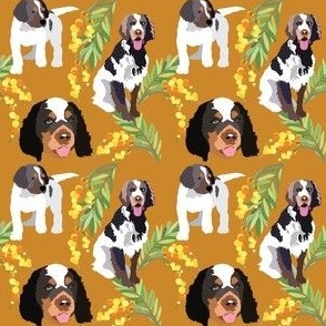 French Pointer Dog Puppy and Mimosa Flowers  - Dog Fabric Floral