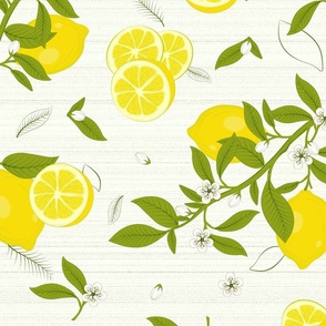 Lemon Fresh Light Large Scale size 24''