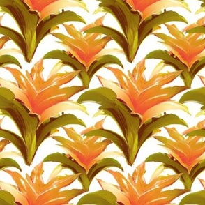 Tropical Orange Bromeliad Flowers