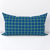 grandpa chic plaid checked handdrawn coordinate lime green and turquoise blue small