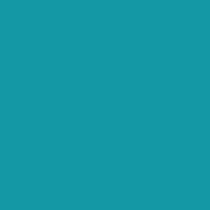 TURQUOISE 1398a5 solid